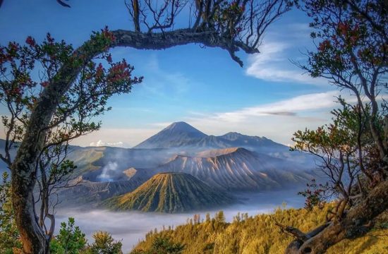 https://plutkumkmgianyar.com/