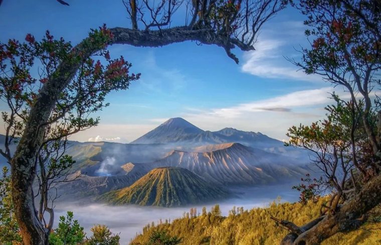 https://plutkumkmgianyar.com/