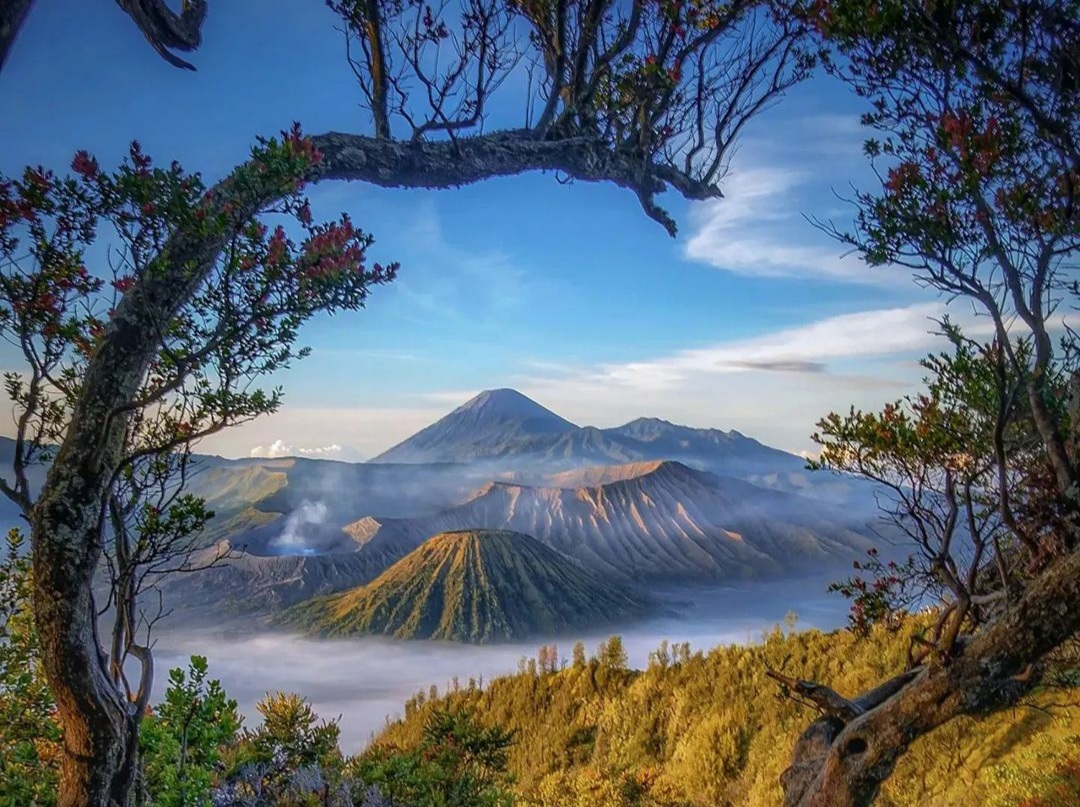 Wisatawan Prewedding Diduga Penyebab Kebakaran Gunung Bromo https://plutkumkmgianyar.com/