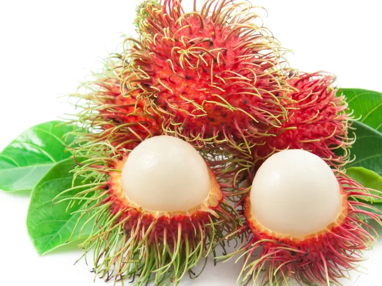 Dokter Tangani Pasien BAB Berdarah Karena Ada 35 Biji Rambutan Di Perutnya
