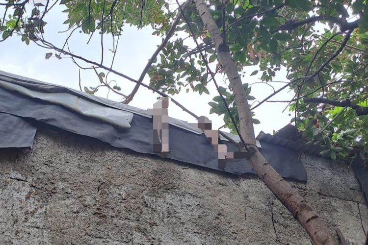Damkar Jaksel Evakuasi Lansia Yang Meninggal Di Atap Diduga Penderita Alzheimer https://plutkumkmgianyar.com/