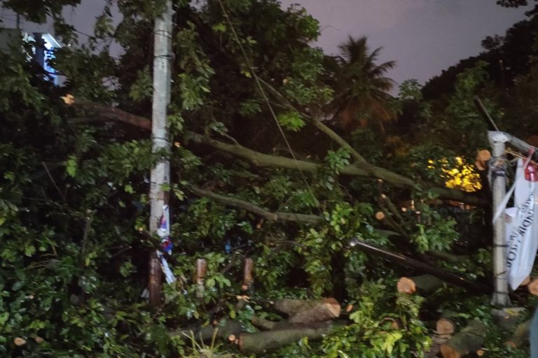 https://plutkumkmgianyar.com/