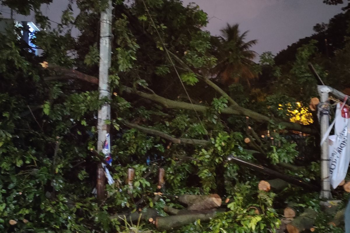 https://plutkumkmgianyar.com/