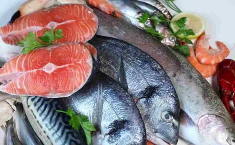 Kalian Perlu Tahu, Ini Dia 5 Manfaat Daging Ikan Untuk Tubuh