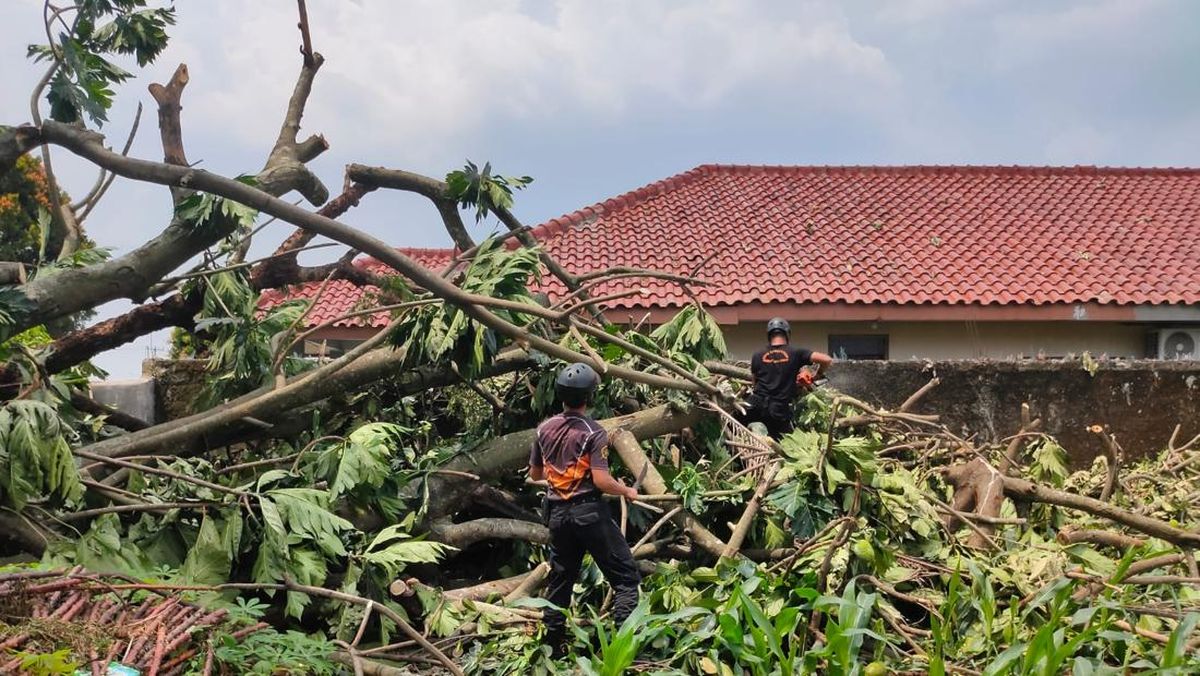 Tragedi Alam: Rumah di Ciawi Bogor Ambruk Akibat Hujan Disertai Angin Kencang