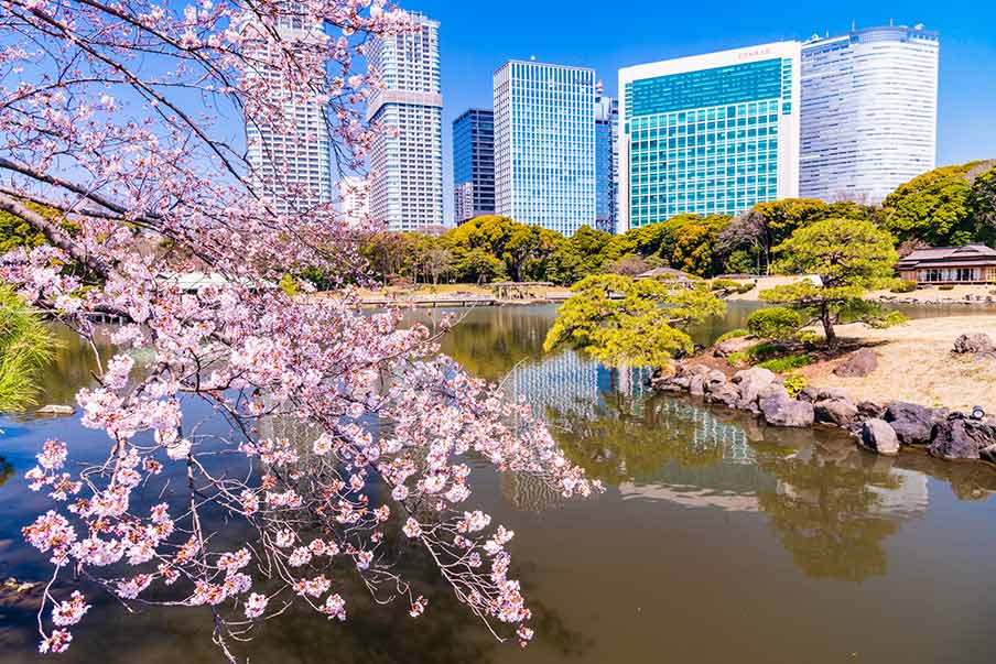 Jelajah Keindahan Taman Jepang: Tempat Damai di Tengah Kota https://plutkumkmgianyar.com/