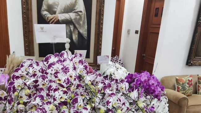 Simbolisme dan Makna Mendalam di Balik Anggrek yang Diberikan Prabowo kepada Megawati