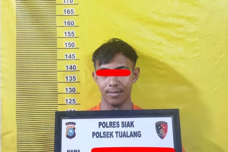 Polisi Tangkap Pelaku Pembobolan Rumah di Riau dengan Modus Pengantaran Paket