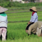 Ekonomi Jabar Kuartal I/2025 Tumbuh 4,98%, Ditopang Aktivitas Pertanian